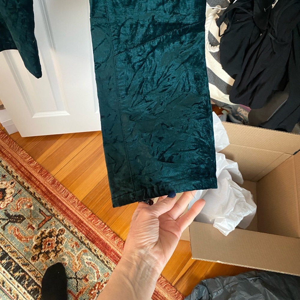 Free People Dark Green Velvet Pants - Picture 6 of 10